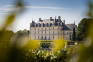 chateau-campagne-vignoble-tourelles