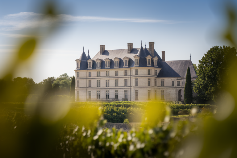 chateau-campagne-vignoble-tourelles